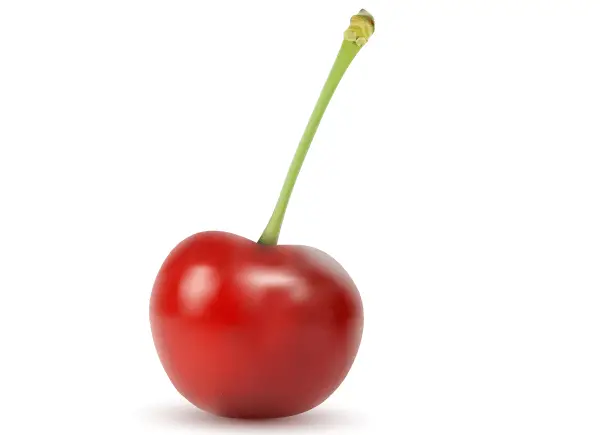 Free Red Cherry Vector Illustration 