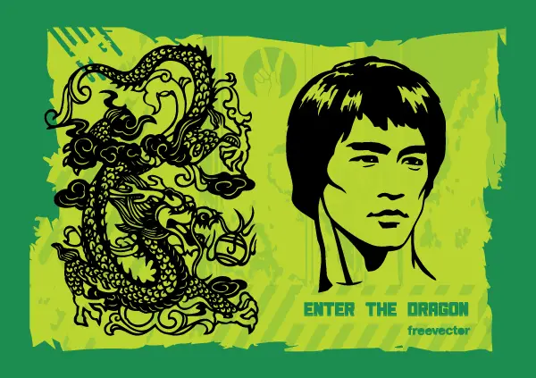 Enter the Dragon Vector Image