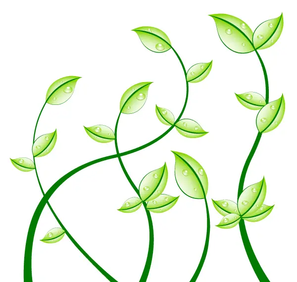 Green Leaves Free Vector Graphics