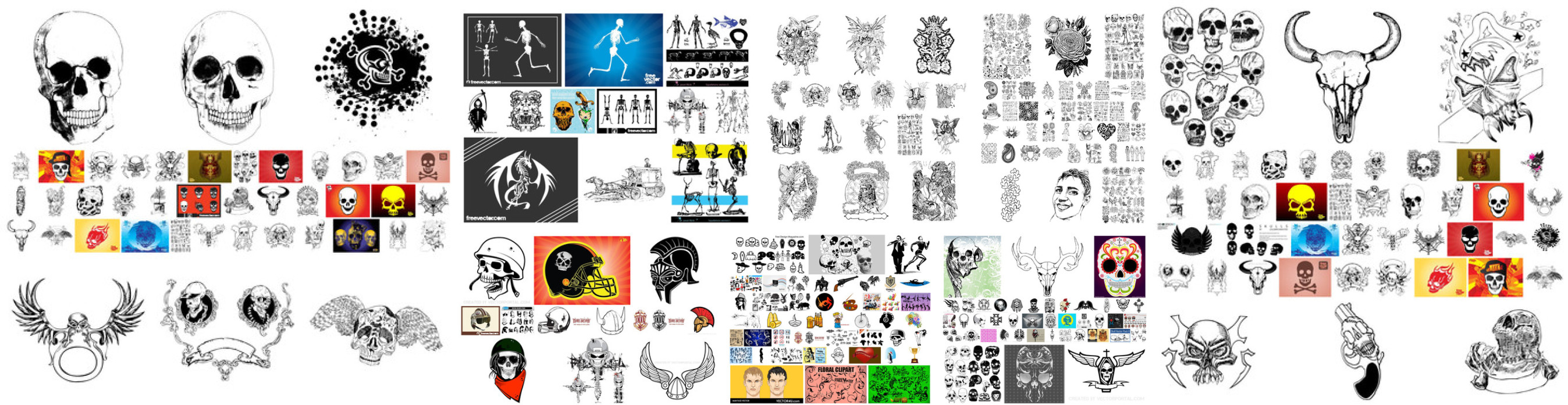 Skull collection preview