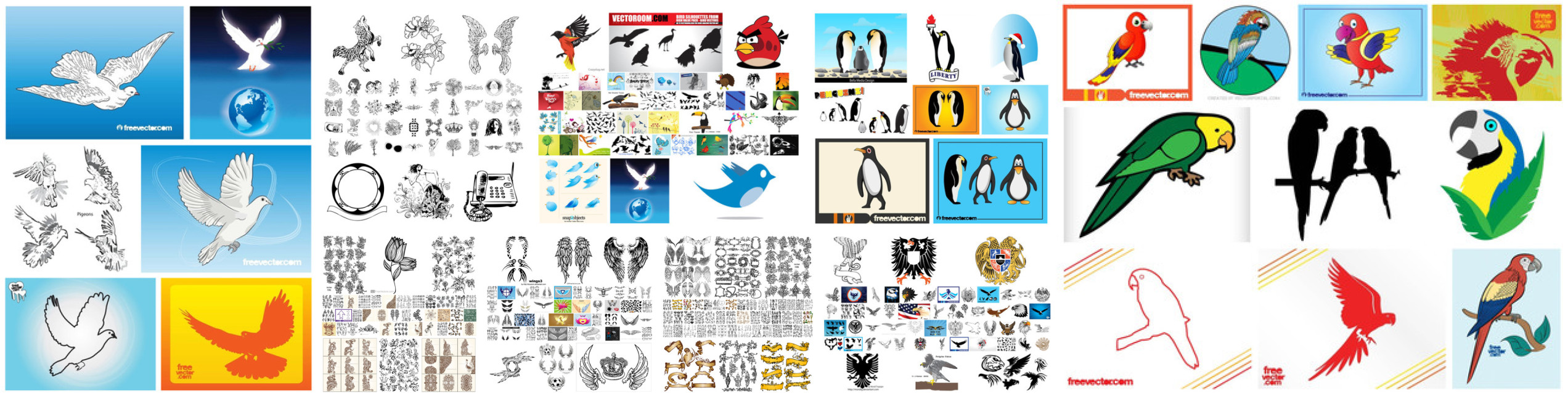 Birds