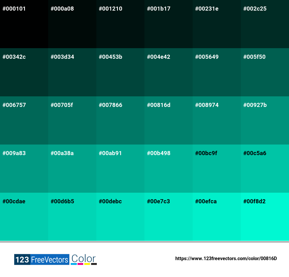 Pantone 569 C 00816D Detailed Color Information and Usage