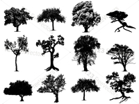 Untitled-8
