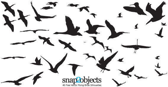 Download Flying Birds Silhouettes