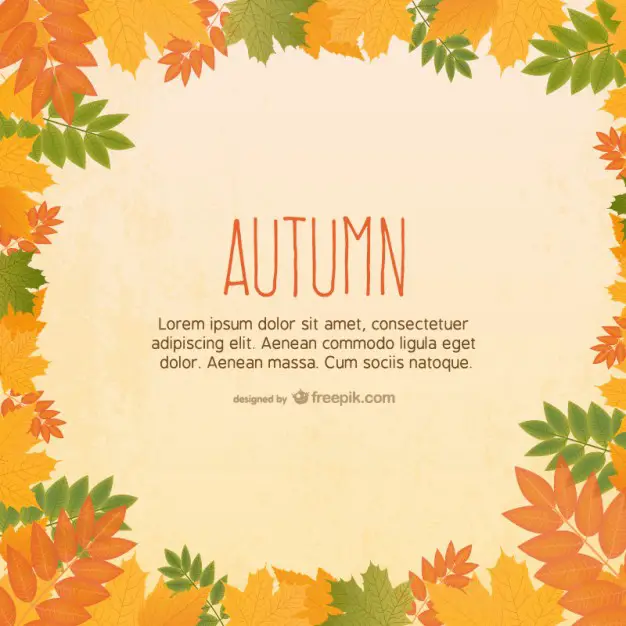Template with Autumn Leaves Free Vector 123Freevectors