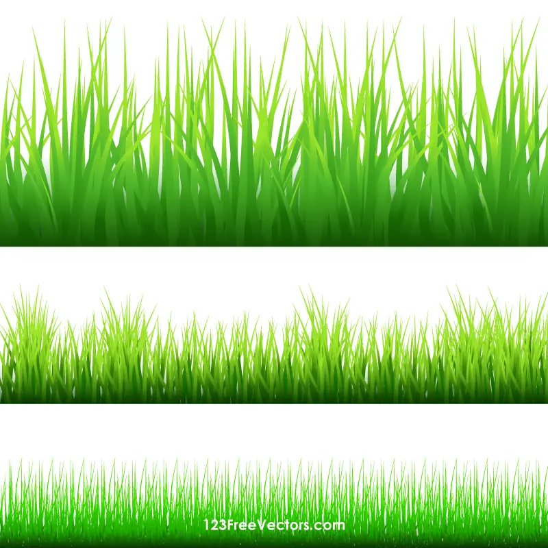 clip art grass border - photo #7