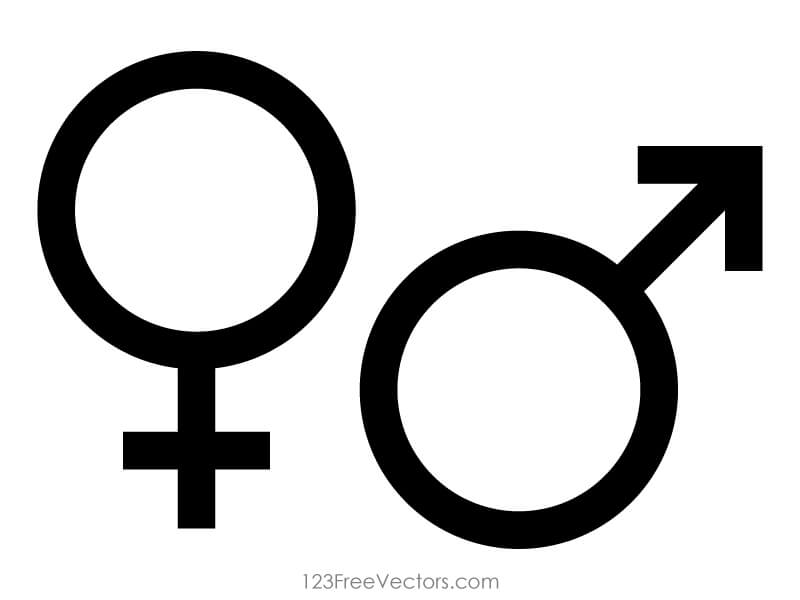 Male and Female Gender Symbols Vector