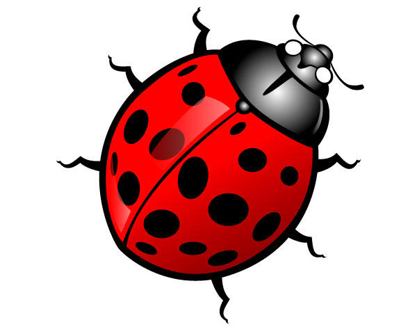 ladybug clipart vector - photo #38