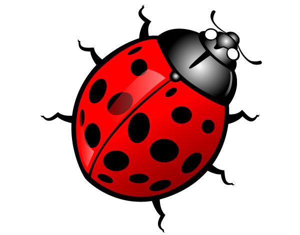 insect clipart images - photo #46