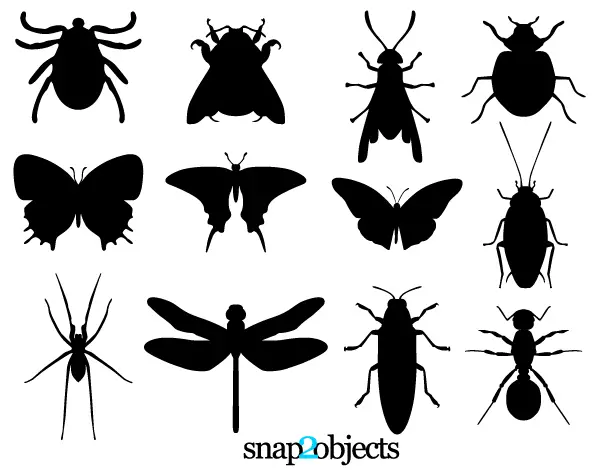 free black and white insect clipart - photo #48