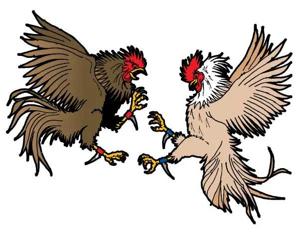 Cockfighting Vector Clip Art Image