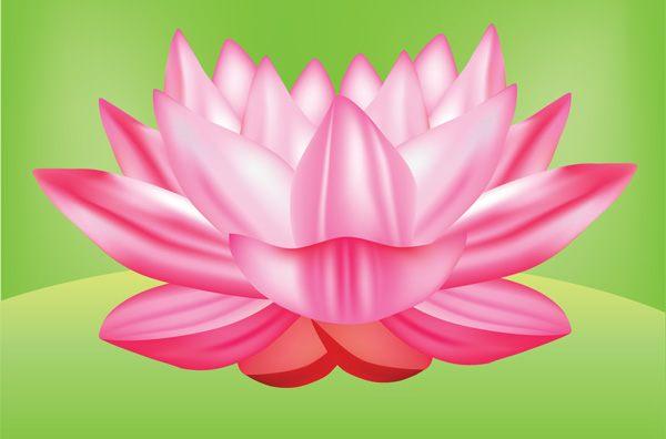 clip art free lotus flower - photo #45