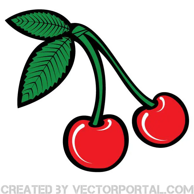 cherry clip art etsy - photo #20