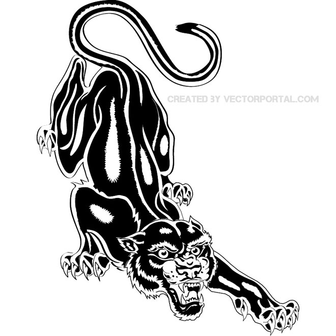 vector x jaguar studs