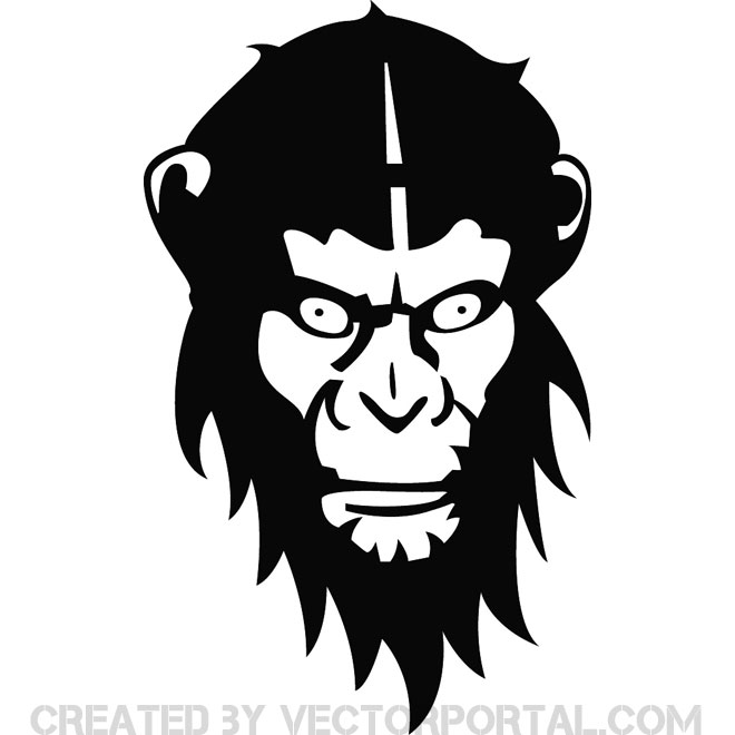 Images Of Cartoon Monkey Face Clipart