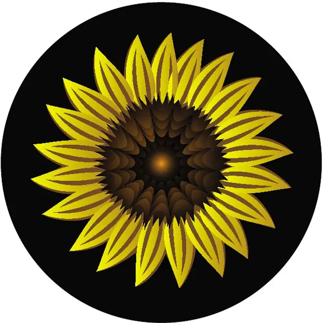 Download Sunflower Image Free Vector