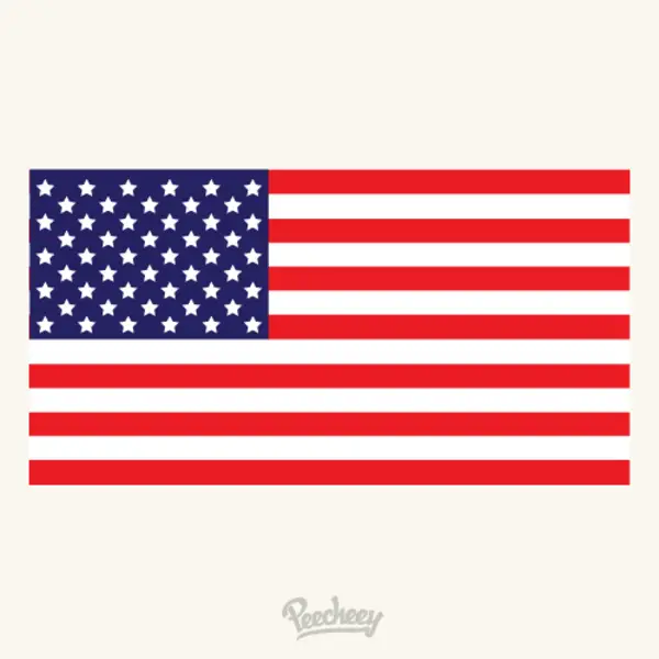 Download American Flag Flat Design Free Vector